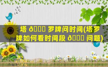塔 🐕 罗牌问时间(塔罗牌如何看时间段 🐛 问题)